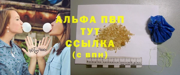 шишки Заволжск