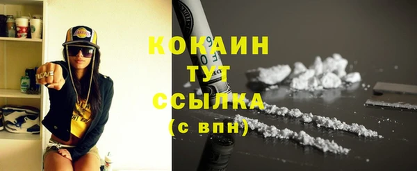 эйфоретик Ельня