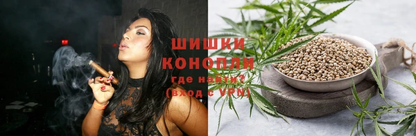 mdpv Елизово
