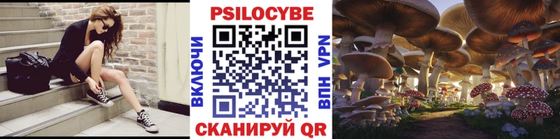omg ТОР  Батайск  Псилоцибиновые грибы Psilocybine cubensis 
